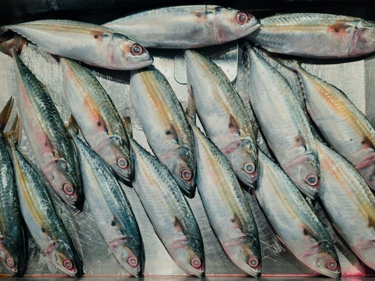 kc shum vvx9jmbvxzc unsplash